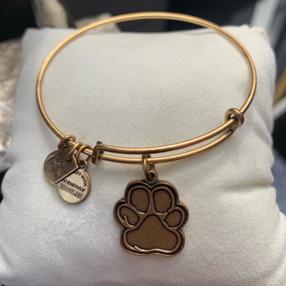 Alex & Ani Gold Bangle Bundle - Picture 7 of 8